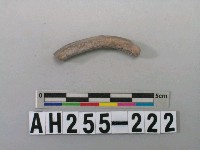 藏品(灰色泥質陶環殘件)的圖片